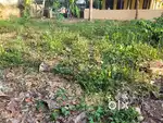 Near neyyattinkara bus stand