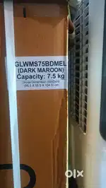 Lloyd waching machine
