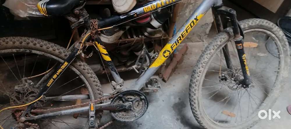 Cycle : firefox Ranger cycle