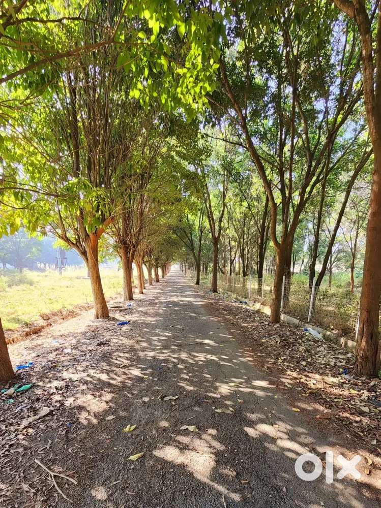 Plot for sale on near Chandapur–Anekal Main Road