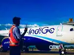 URGENTLY JOB VACANCY IN AIRPORT GROUND STAFF/CABIN CREW APPLY NOW