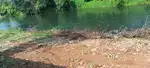 River side land 470 cent good for farm tourism and Ayurveda hospital