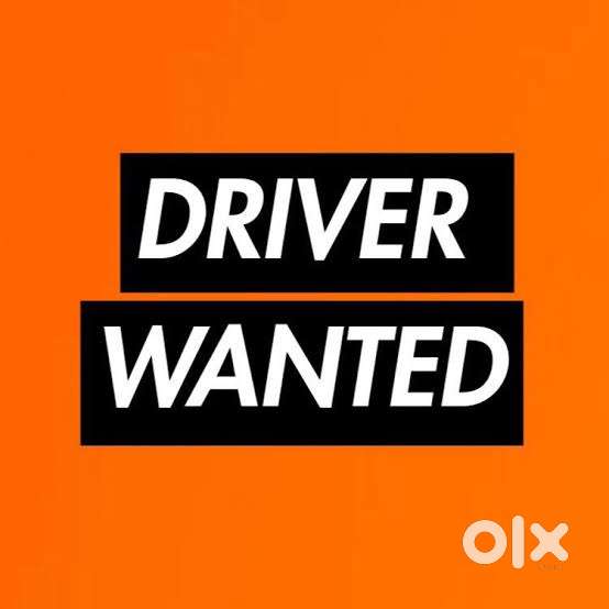 Driver cum assistant