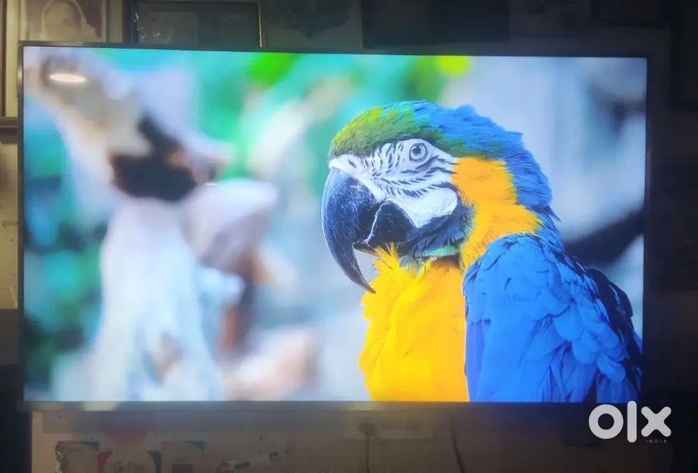 Mi 65 inch 4k android tv