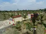 Nature Farm Land for Sale Near GST Road @ To ndivanam College