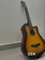 Acoustic Intern guitar