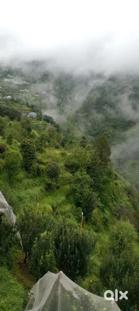 Hello i want to give 22 bigha land for lease for ten years.