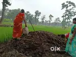This land is Balumat latehar  Jharkhand