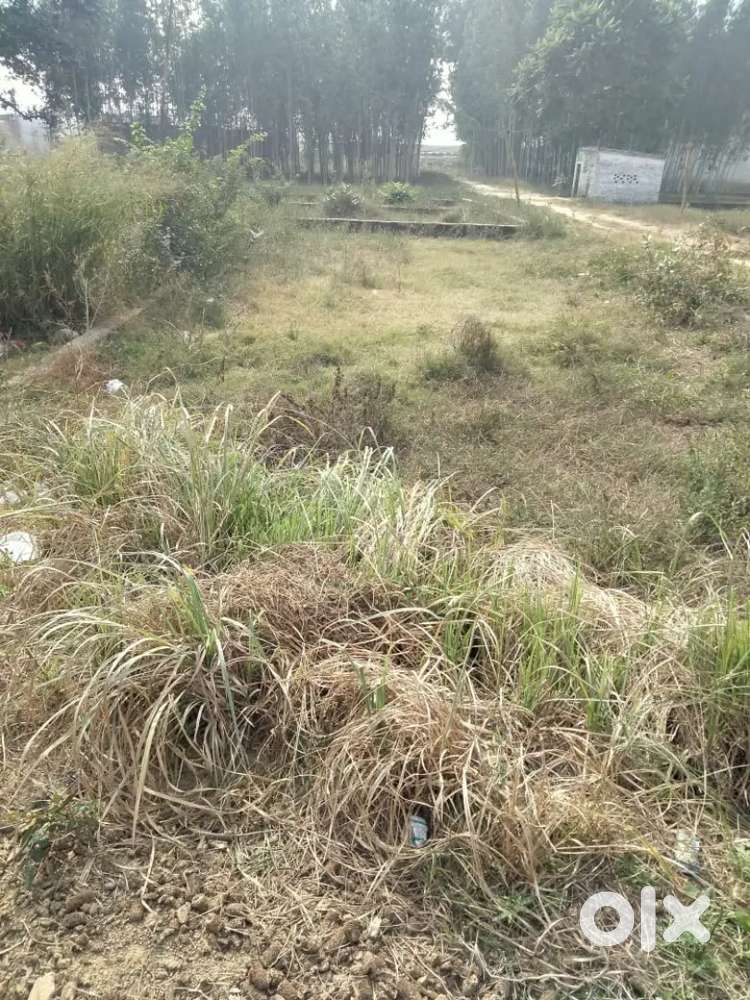 Plot on best location pal chauraha