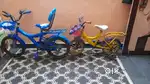 CYCLE  IN GOOD  CONDITION  AND  VERY  NEAT