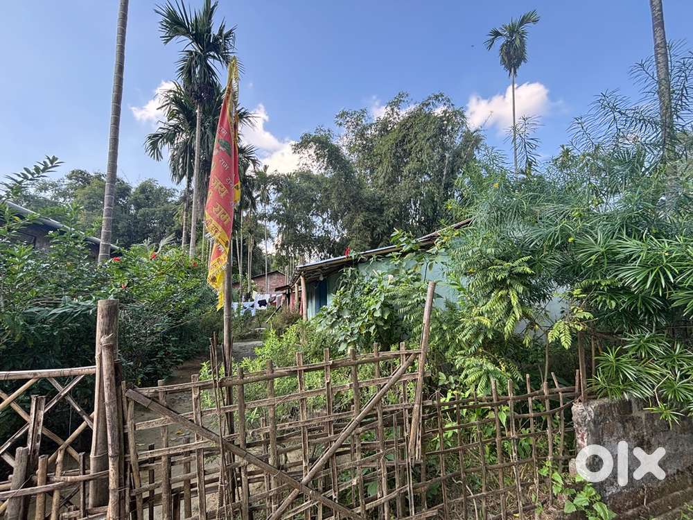 Land for sale very low budjet