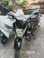 unicorn best condition