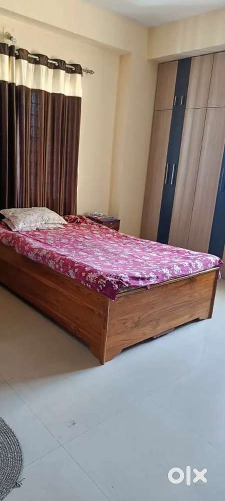 Diban , pure sagun kath