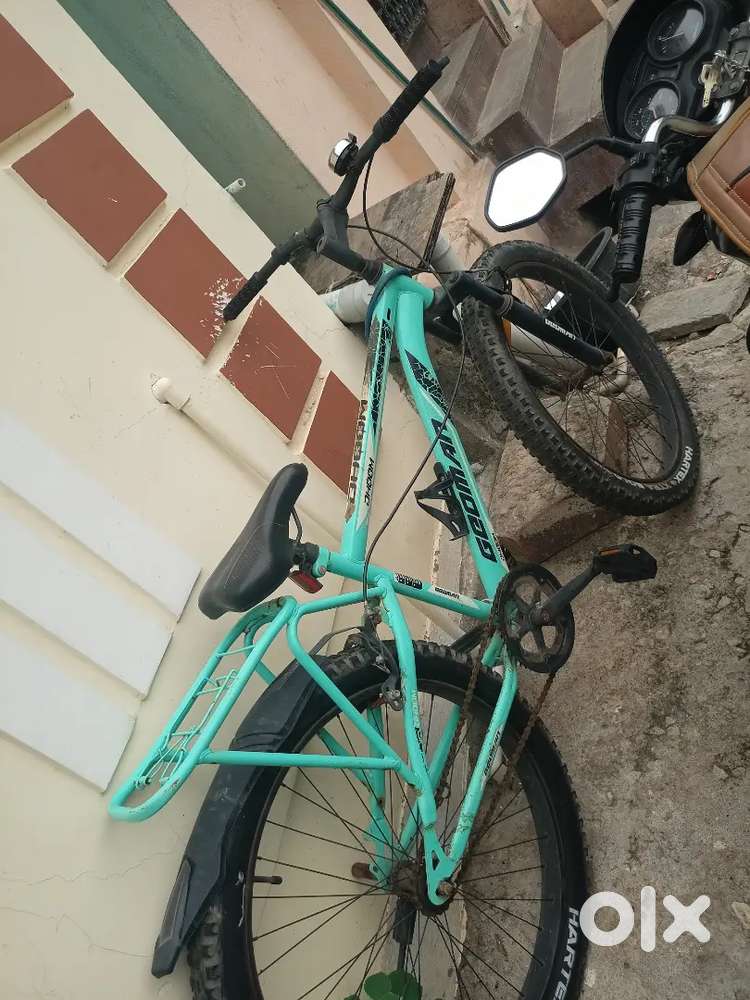 Cycle 1 year only
