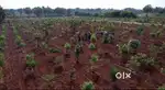 Ready-to-Enjoy Farm with Pool & Guesthouse – Gauribidanur