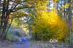 Plot for sale in Sandalwood Farms in the Prime locality off BIAL