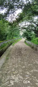 Plot for sale - Kakra Kankad Kund, Bari EID Ghah