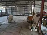 Gala on rent