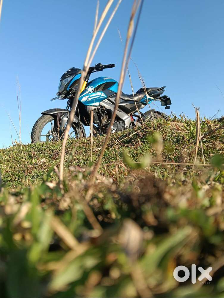 Palchar125 good contusion