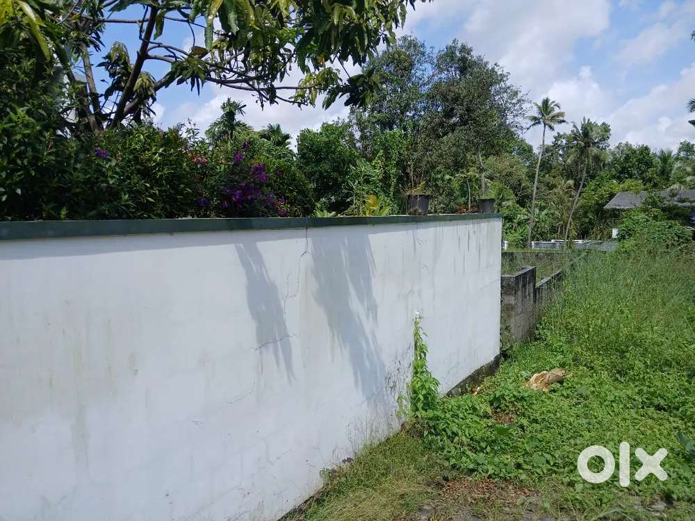 House plot 5.6 cent thiruvankulam junction 700 mtr