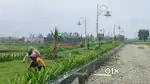 Moradabad plots