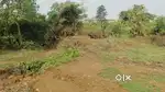 Plot for sale in Damodarpur