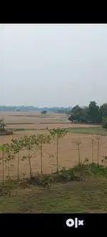 1 bigha personal Land