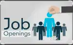 Field executive