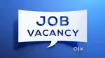 Zepto: Picker Packer: Koregaon park, Pune