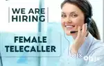 Customer support executive