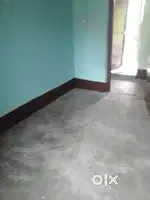 Room patnar chaiye fimle