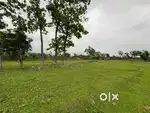 Land for sale 50 decimal 1.5 bigha