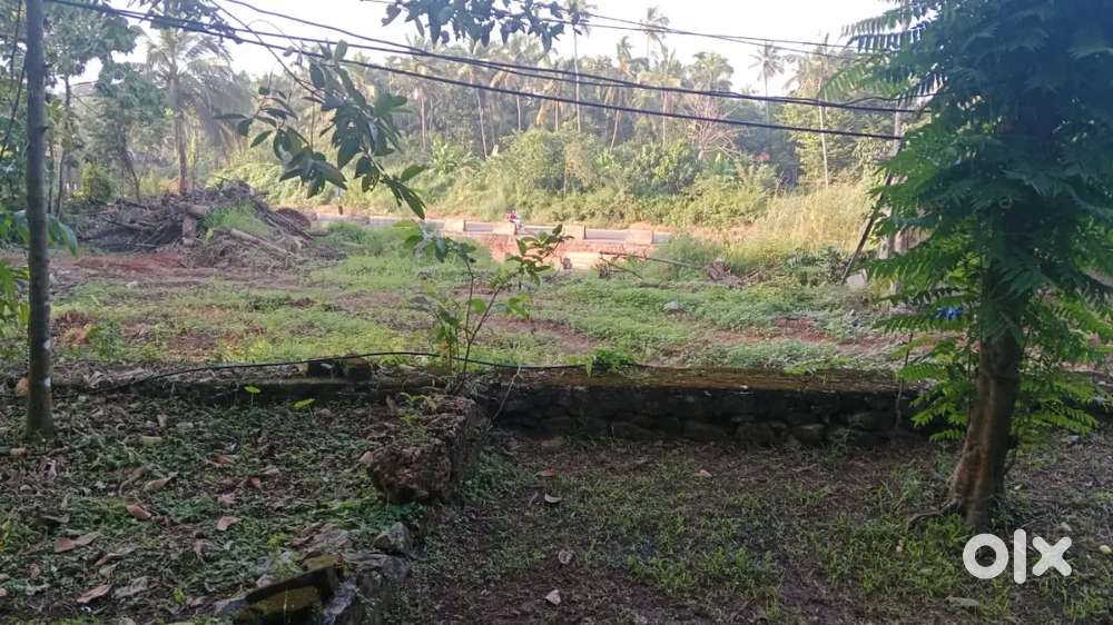 Prime Commercial Plot on National Highway Vatakara-43.5 cent