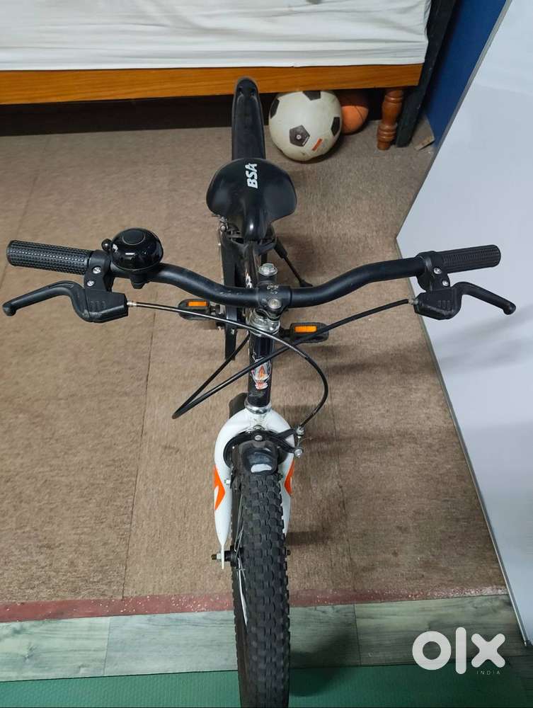BSA Kids cycle, Roamer