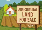 Farm land & house for SALE
