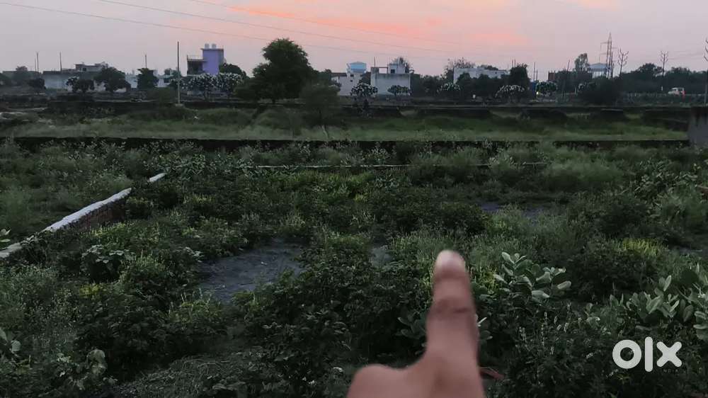 All area property available Sirius buyer contact me