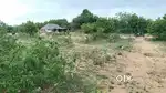 I am sale my land