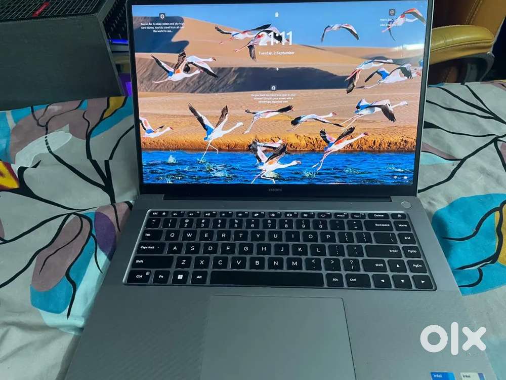 Mi Laptop Premium Series