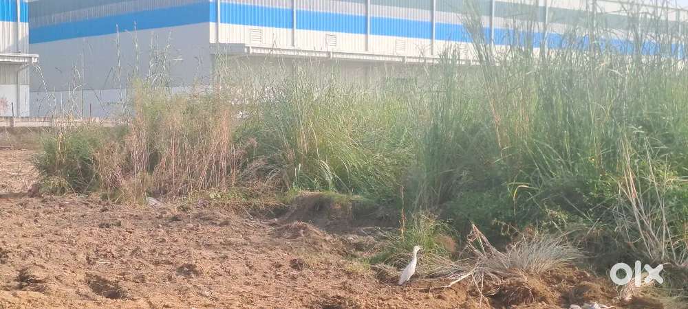 NH-91 Highway se laga hua plot le