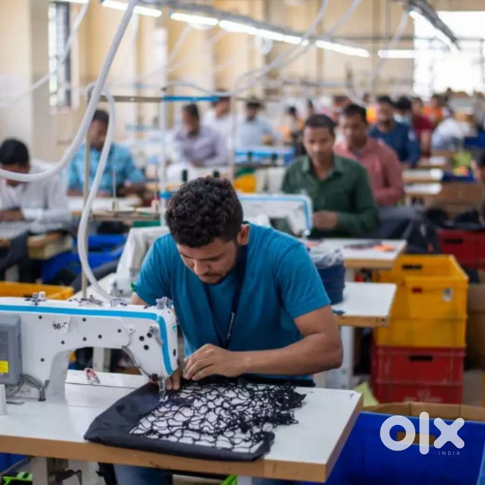 Tshirts stitching and cutting person male or female room provided