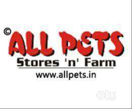 SALES GIRL FOR PET SHOP