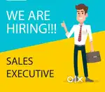 We are looking for Full-time Sales and Marketing Executive