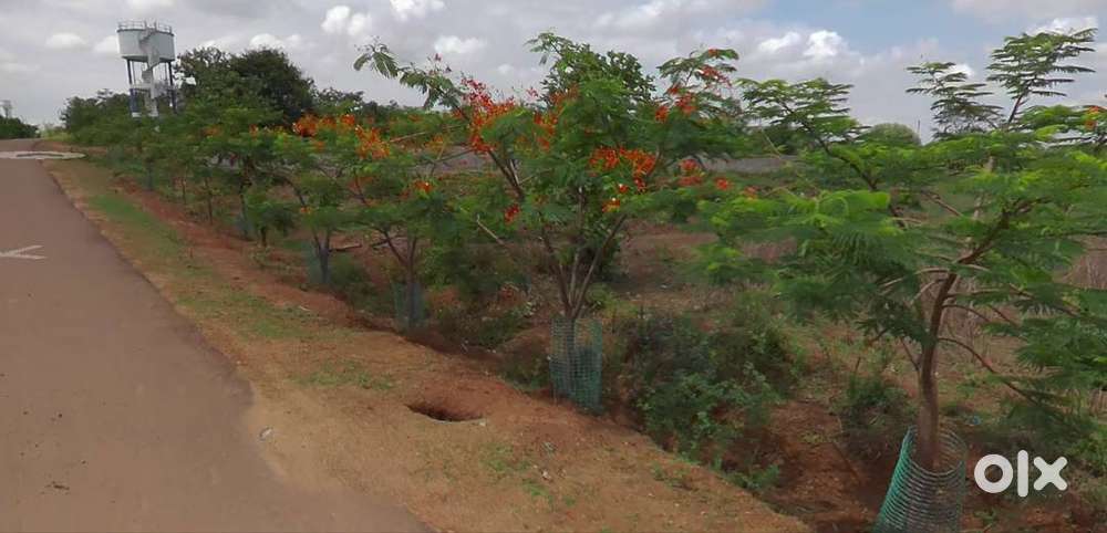 3000 Sq Yards Land for Lease near Narsapur Highway, Hyderabad