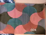 Carpet/ Rug