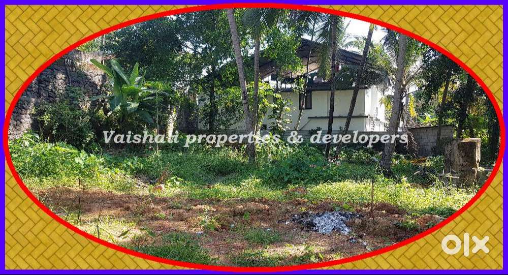 6 cent Residential Plot in near Chalappuram