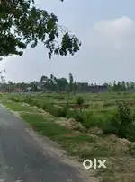 300 yard plot on sale