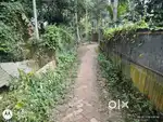 2 gonda raiti jot plot for sale only 13 Lakh