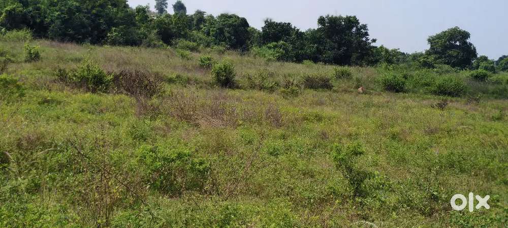 2.5 acer agriculture land pure red soil N.H highway inside 3. Kms