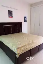 1bhk flat for rent