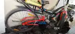 2 sal purani cycle
